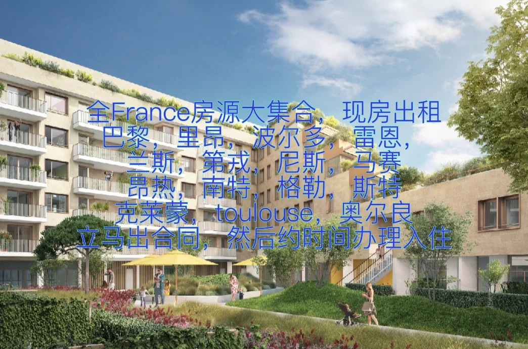 里昂胜巴黎,乌索诺主编媒体各抒己见 里昂胜巴黎,乌索诺主编媒体各抒己见